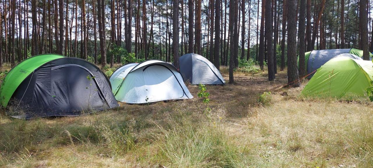 ホテル Osrodek Wypoczynkowy Nad Brda トゥホラ エクステリア 写真