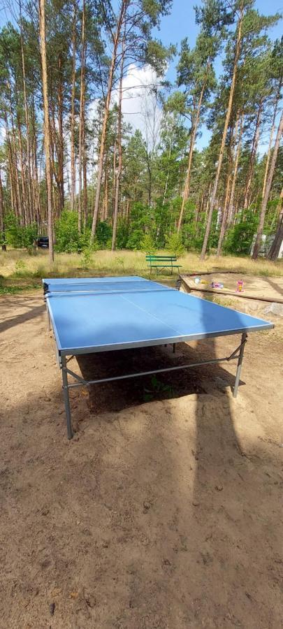 ホテル Osrodek Wypoczynkowy Nad Brda トゥホラ エクステリア 写真