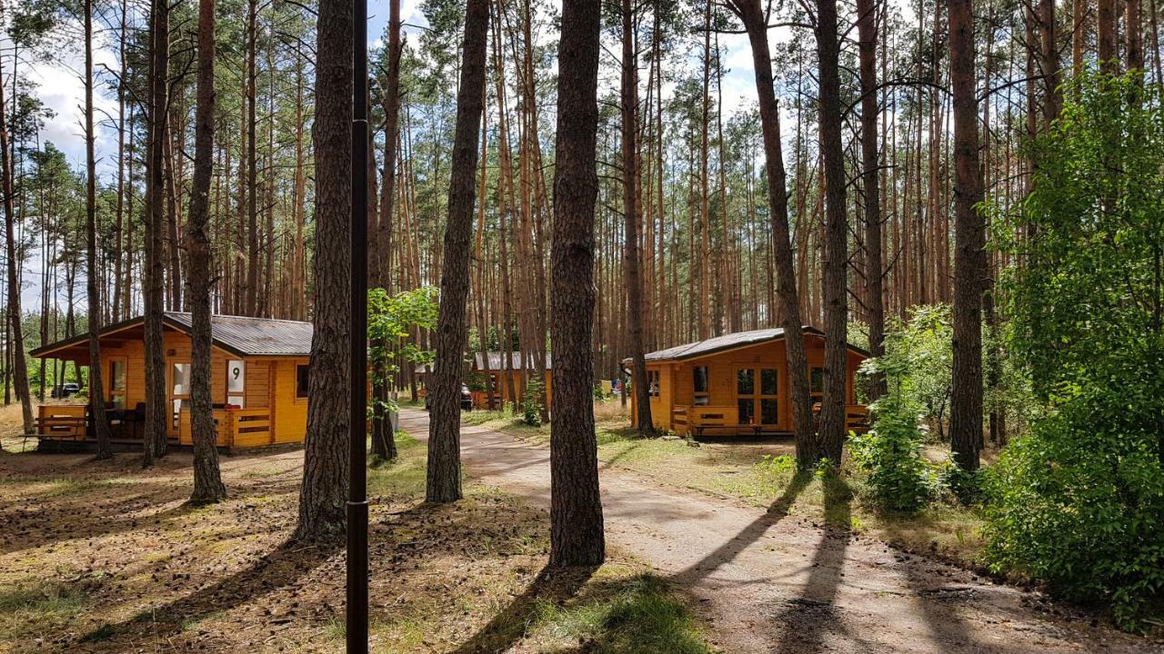 ホテル Osrodek Wypoczynkowy Nad Brda トゥホラ エクステリア 写真