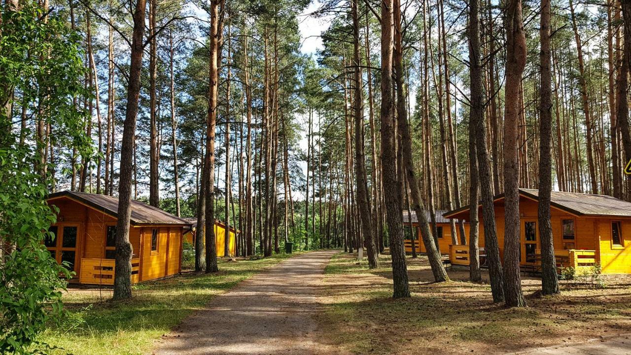ホテル Osrodek Wypoczynkowy Nad Brda トゥホラ エクステリア 写真